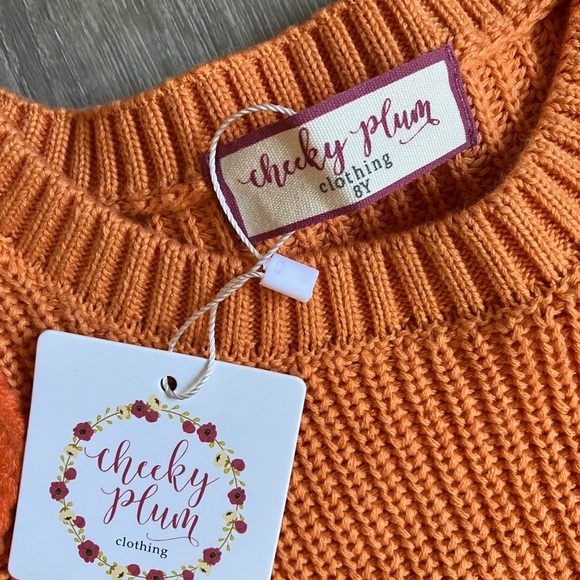 NEW Cheeky Plum Embroidered Pumpkin Sweater 🎃 - Picture 3 of 6